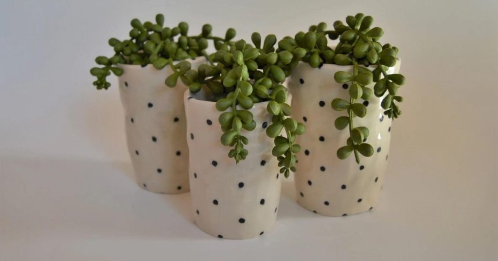 ceramic project ideas for beginners